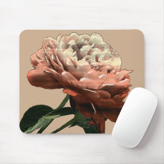 Ruby-Rote Rose mit weißen Akzenten Mousepad (Mit Mouse)