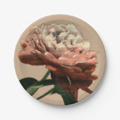 Ruby-Rote Rose mit weißen Akzenten Pappteller (Vorderseite)