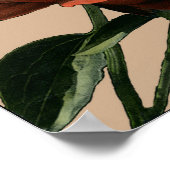 Ruby-Rote Rose mit weißen Akzenten Poster (Ecke)