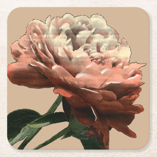 Ruby-Rote Rose mit weißen Akzenten Rechteckiger Pappuntersetzer (Vorderseite)