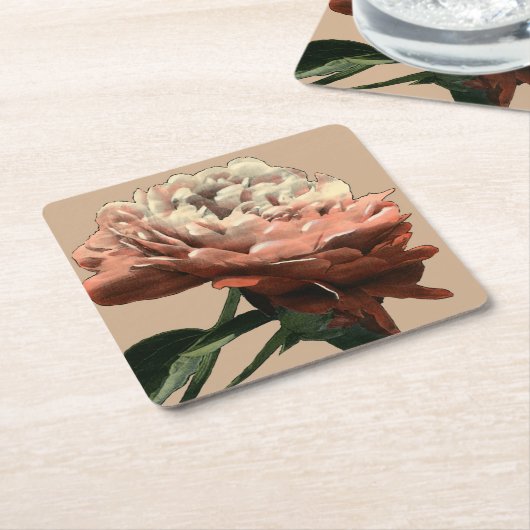 Ruby-Rote Rose mit weißen Akzenten Rechteckiger Pappuntersetzer (angewinkelt)