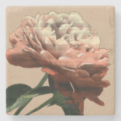 Ruby-Rote Rose mit weißen Akzenten Steinuntersetzer (Vorderseite)