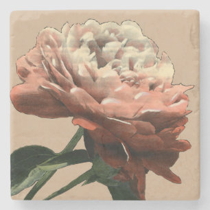 Ruby-Rote Rose mit weißen Akzenten Steinuntersetzer