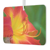 Ruby Spider Day Lily Autolufterfrischer (Links)