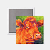 Ruby the Red Angus Cow Magnet (Vorderseite/Rückseite)