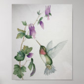 Ruby=throasted Hummingbird Garden Fuchsia Poster (Vorne)