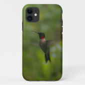 Ruby Throat Hummingbird Case-Mate iPhone Hülle (Rückseite)