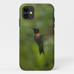 Ruby Throat Hummingbird iPhone 11 Hülle