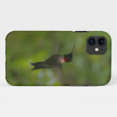 Ruby Throat Hummingbird Case-Mate iPhone Hülle (Rückseite (Horizontal))