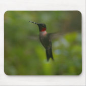 Ruby Throat Hummingbird Mousepad (Vorne)