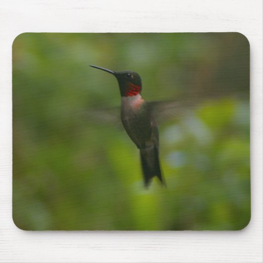 Ruby Throat Hummingbird Mousepad (Vorne)