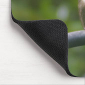 Ruby Throat Hummingbird Mousepad (Ecke)