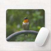 Ruby Throat Hummingbird Mousepad (Mit Mouse)