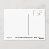 Ruby-throat in der Cypress Vine Postcard Postkarte (Rückseite)