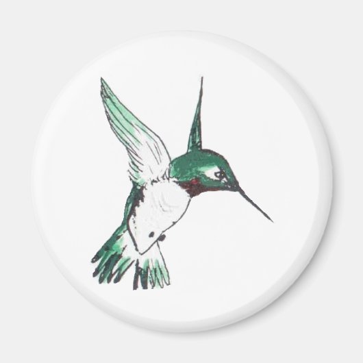 Ruby Throat Magnet (Vorne)