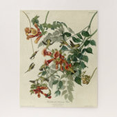 Ruby-throated Humming Bird, Audubon Birds America Puzzle (Vertikal)
