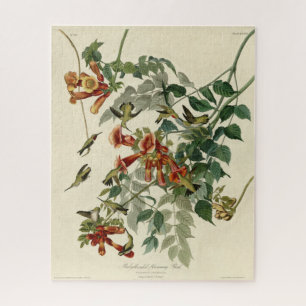 Ruby-throated Humming Bird, Audubon Birds America Puzzle