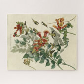 Ruby-throated Humming Bird, Audubon Birds America Puzzle (Horizontal)