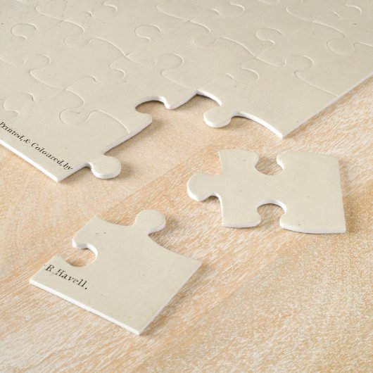 Ruby-throated Humming Bird, Audubon Birds America Puzzle (Seite)