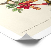Ruby-throated Humming Bird by Audubon Poster (Ecke)
