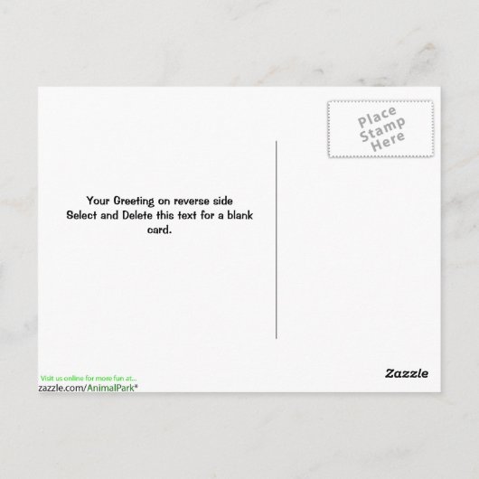 Ruby Throated Humming Bird Postkarte (Rückseite)