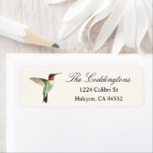 Ruby-throated Hummingbird (Insitu)
