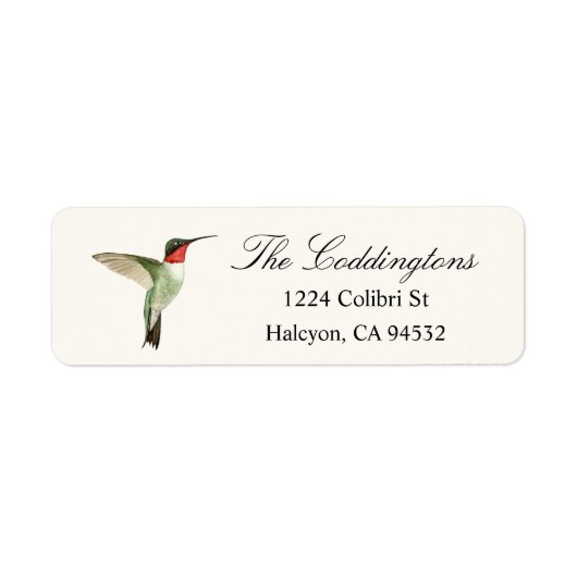Ruby-throated Hummingbird (Vorne)