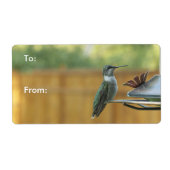 Ruby Throated Hummingbird (Vorne)