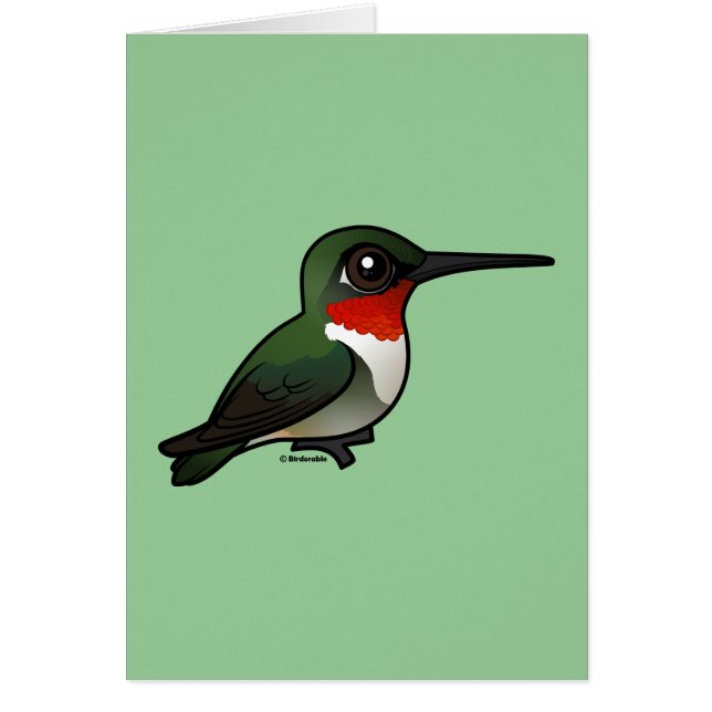 Ruby-throated Hummingbird (Vorne)