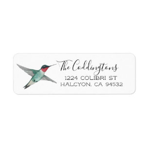 Ruby-throated Hummingbird