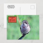Ruby Throated Hummingbird 00Postcard Postkarte (Vorne/Hinten)
