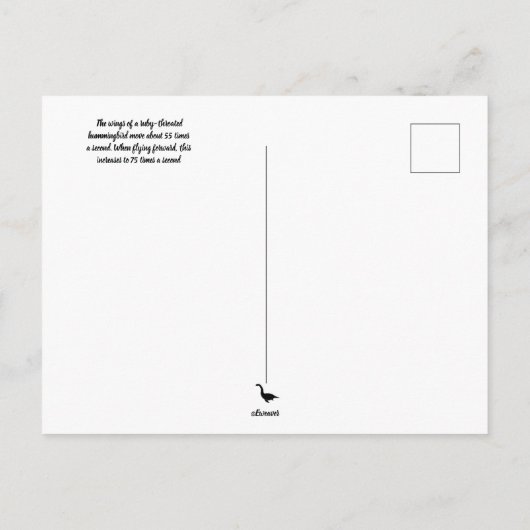 Ruby Throated Hummingbird 00Postcard Postkarte (Rückseite)