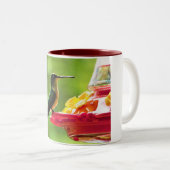Ruby-Throated Hummingbird 11 oz Bird Fotografy Zweifarbige Tasse (VorderseiteRechts)