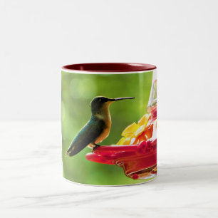 Ruby-Throated Hummingbird 11 oz Bird Fotografy Zweifarbige Tasse