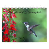Ruby Throated Hummingbird 2025 Calendar Kalender (Titelbild)