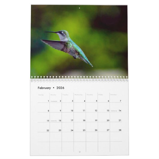 Ruby Throated Hummingbird 2025Kalender Kalender (Feb 2026)