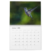 Ruby Throated Hummingbird 2025Kalender Kalender (Jan 2025)