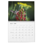 Ruby Throated Hummingbird 2026  Calendar Kalender (Mär 2027)