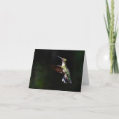 Ruby-throated Hummingbird #2 - Blank Note Card Dankeskarte (Vorderseite)