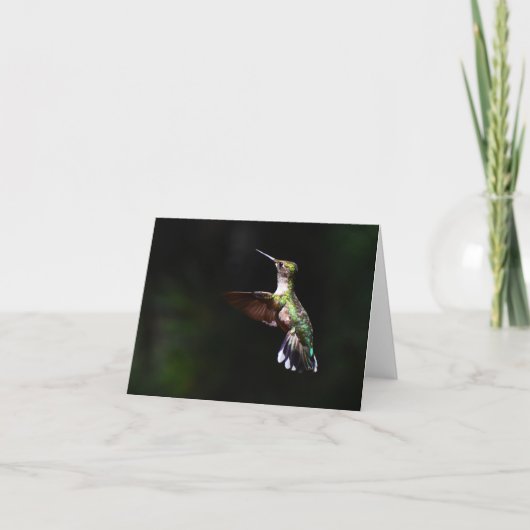 Ruby-throated Hummingbird #2 - Blank Note Card Dankeskarte (Vorderseite)