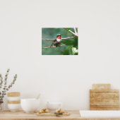 Ruby-throated Hummingbird After Chase Poster (Küche)