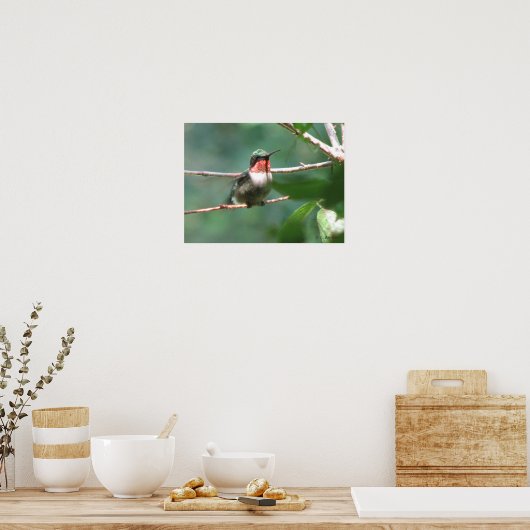 Ruby-throated Hummingbird After Chase Poster (Küche)