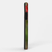 Ruby-Throated Hummingbird Archilochus Colubris Case-Mate iPhone Hülle (Hinten/Rechts)