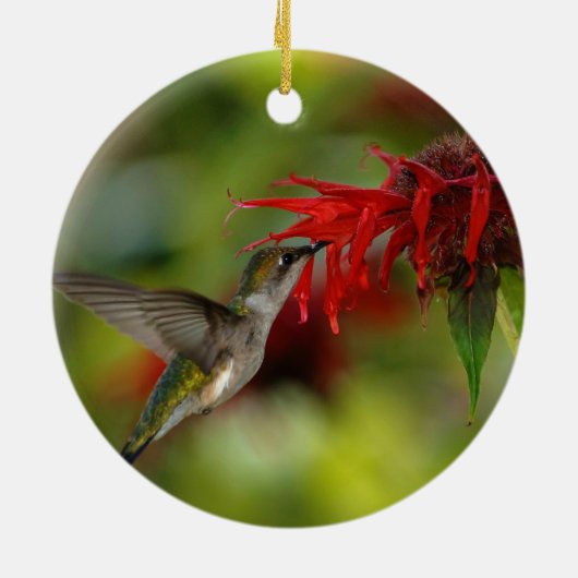 Ruby-Throated Hummingbird Archilochus Colubris Keramikornament (Hinten)