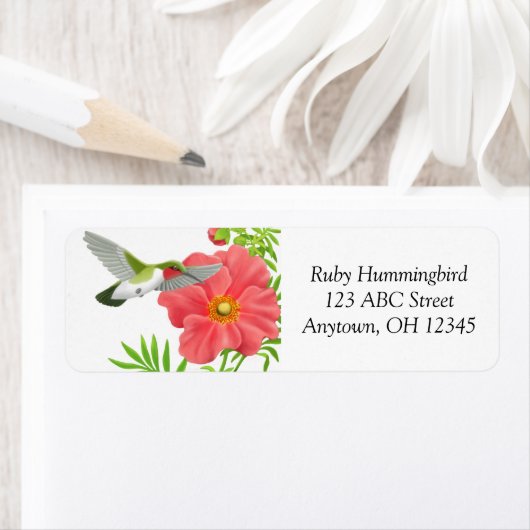 Ruby Throated Hummingbird auf dem Label Geum Blume (Insitu)