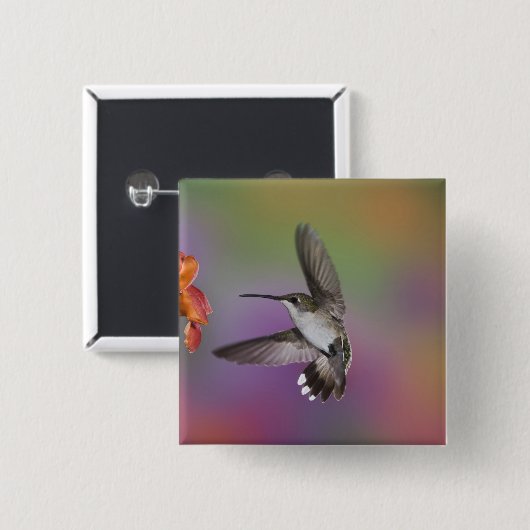Ruby Throated Hummingbird bei Frauen Button (Vorne & Hinten)