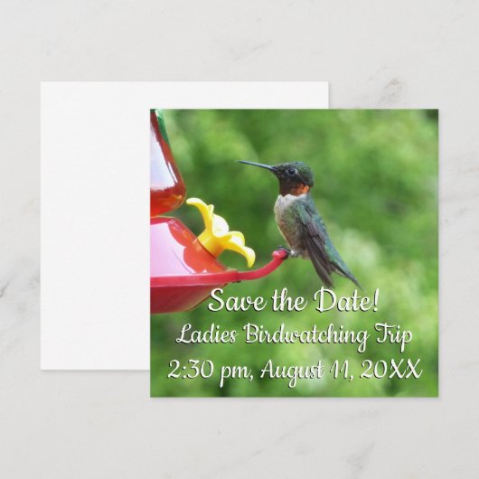 Ruby-Throated Hummingbird Bird Fotografy (Vorne/Hinten)