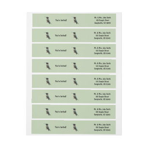 Ruby-Throated Hummingbird Bird Fotografy