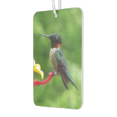 Ruby-Throated Hummingbird Bird Fotografy Autolufterfrischer (Links)