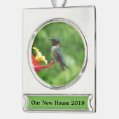 Ruby-Throated Hummingbird Bird Fotografy Banner-Ornament Silber (Links)